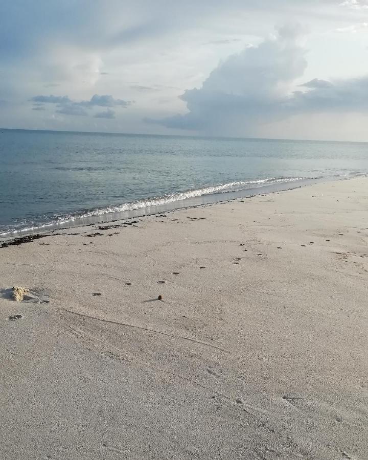 L'Hirondelle de Kelibia : Chez Amou Hotel Buitenkant foto